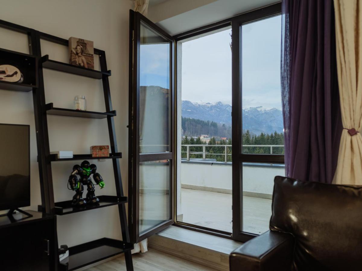 Panoramic Loft Colina Marei Lejlighed Sinaia Eksteriør billede