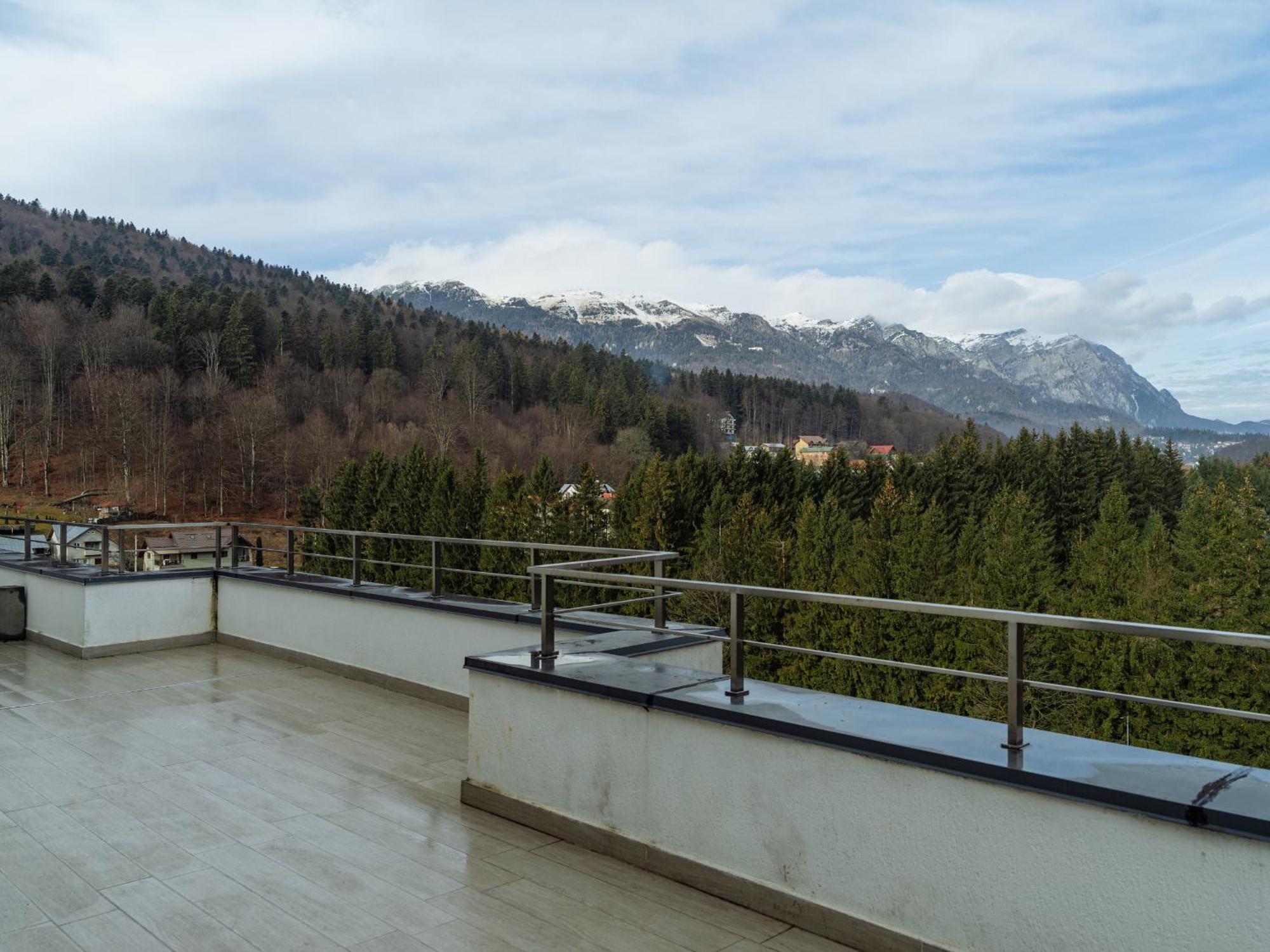Panoramic Loft Colina Marei Lejlighed Sinaia Eksteriør billede